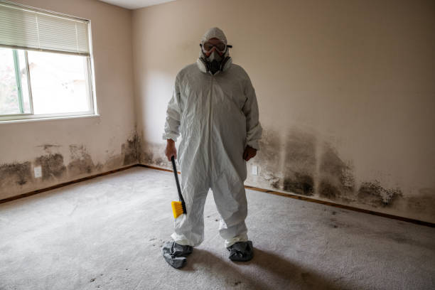 Best Residential Mold Remediation in Live Oak, TX